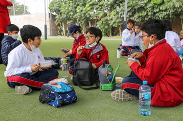 CPB_AcademicXL_Vistimeline_374x249_9