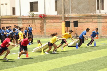 CPB_AcademicXL_Vistimeline_374x249_24