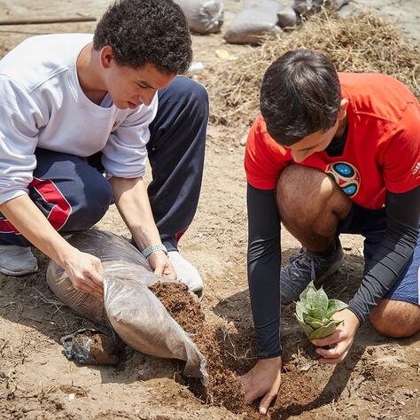 CPB_OutstXP_Smalltextimg_474x474_2