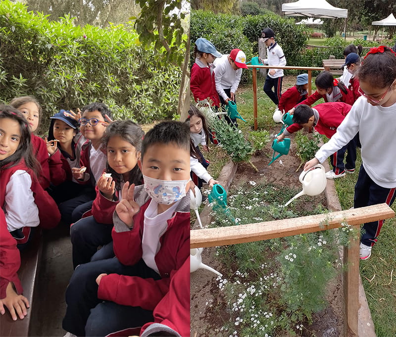 What role do study trips and educational visits play in todays education - What role do study trips and educational visits play in todays education